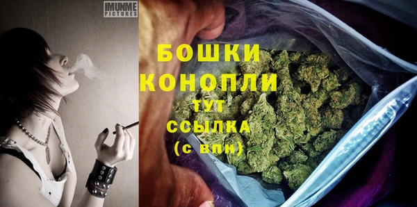 спиды Майский