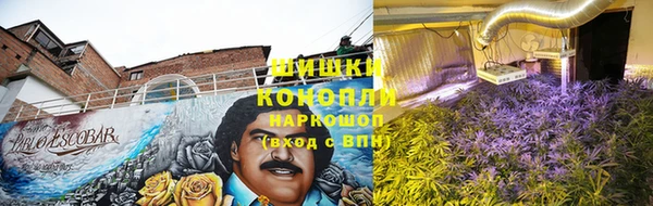 твердый Магадан