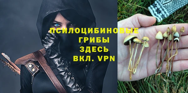 твердый Магадан